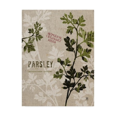 Studio Mousseau 'Organic Parsley No Butterfly' Canvas Art,18x24